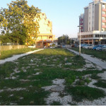 Parcheggio Stazione, ex pineta