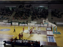 Ancona-Goldengas