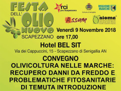Convegno sull'olivicoltura nelle Marche alla Festa dell'Olio Nuovo 2018