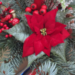 Idee regalo e composizioni per Natale al Vivaio Piantaviva di Senigallia