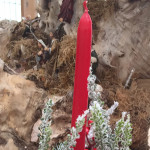 Idee regalo e composizioni per Natale al Vivaio Piantaviva di Senigallia