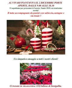 Porte aperte il 2 dicembre 2018 al Vivaio Piantaviva di Senigallia per il Natale