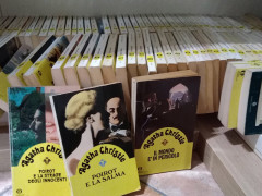 Libri usati in vendita alla libreria Iobook di Senigallia