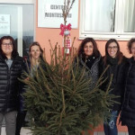 Alberi donati a Fermo