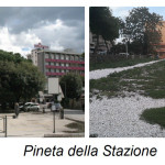 Pineta abbattuta alla stazione