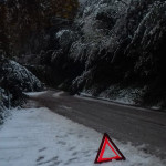 Albero spezzato e caduto su strada che collega le Grazie e Scapezzano