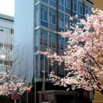 Provincia di Pesaro e Urbino