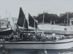 Mare Adriatico, marinai