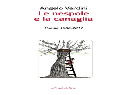 Copertina libro Angelo Verdini