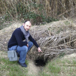 Tane di animali selvatici nell’argine lungo la sponda sinistra del fiume Misa