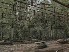 Chernobyl Souvenir