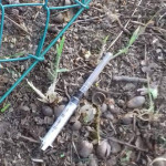 Siringa a Trecastelli