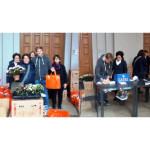 L'Azalea della Ricerca AIRC 2019 a Senigallia