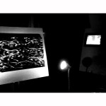 Primavera Fotografica Ostra 2019 - Foto Delia Biele