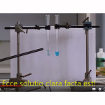 Video lezioni di chimica in latino presentate dal Liceo Perticari a Fosforo 2019