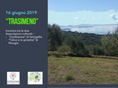 Volantino Trasimeno