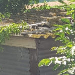 Capannone in amianto nelle campagne di Senigallia