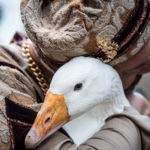 Palio dell'Oca alla Festa Castellana a Scapezzano di Senigallia
