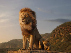 Il Re Leone - scena dal film del 2019