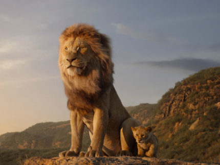 Il Re Leone - scena dal film del 2019