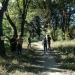 flash mob sul fiume Misa