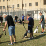 Sguinzagliati a Montacuto