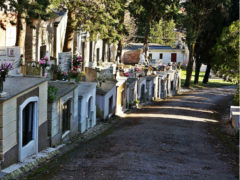 Cimitero di Senigallia