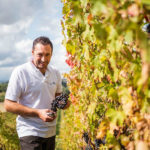 Azienda Agricola Mezzanotte