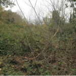 Fiume Misa, argine Marazzana