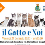 Convegno a Senigallia: "Il gatto e noi"