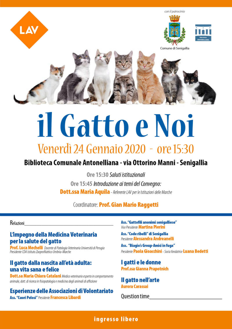 Convegno a Senigallia: "Il gatto e noi" - locandina