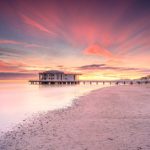 “Alba rosea” di -william-pettinelli