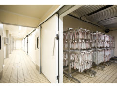 Salumi tradizionali della Marche al Salumificio Angeloni di Castelvecchio di Monte Porzio Salumi tradizionali della Marche al Salumificio Angeloni di Castelvecchio di Monte Porzio