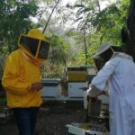 Progetto arnie comunali