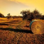 Una foto giorno: Meri Venturi