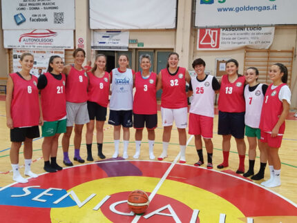 Basket 2000 Senigallia