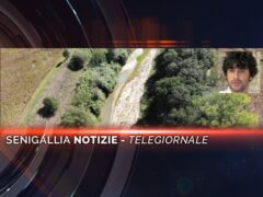 Videogiornale n 25 con intervista a Matteo Principi