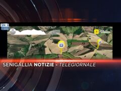 Il videogiornale con interviste