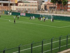 Vigor - Valdichienti