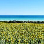 la foto di Romina Togni