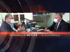 videogiornale massimo bello