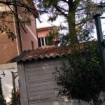 Capanno con copertura in amianto