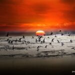 Lo scatto di Paolo Gresta