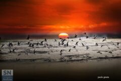 Lo scatto di Paolo Gresta