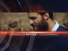 videogiornale mario giacomelli