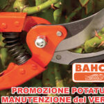 Promozione potatura e manutenzione del verde da RCR Agricoltura Giardinaggio