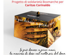 Scatola boxmarche