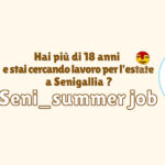 Seni_summer job