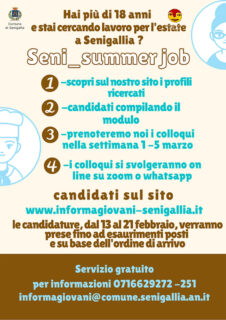 Seni_Summer job 2021