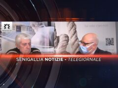 videogiornale carlo montanari